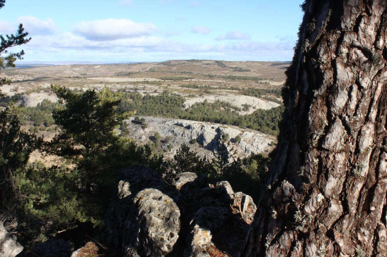 Casas Rurales Chon Alto Tajo Peralejos de las Truchas Buitenkant foto