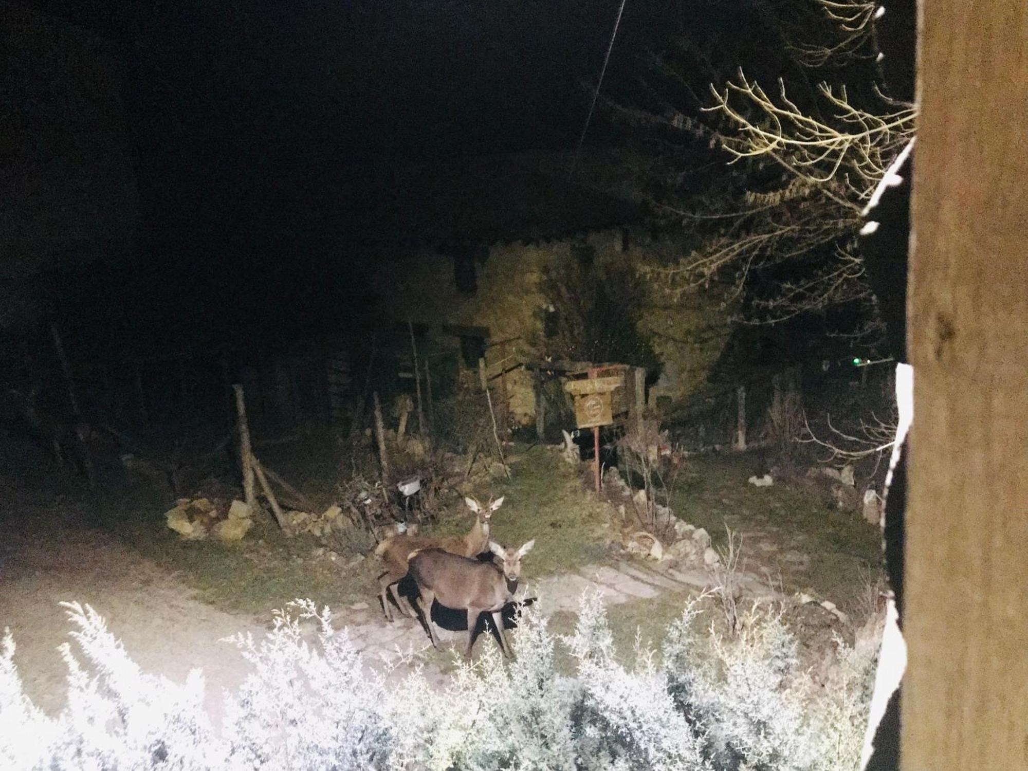 Casas Rurales Chon Alto Tajo Peralejos de las Truchas Buitenkant foto