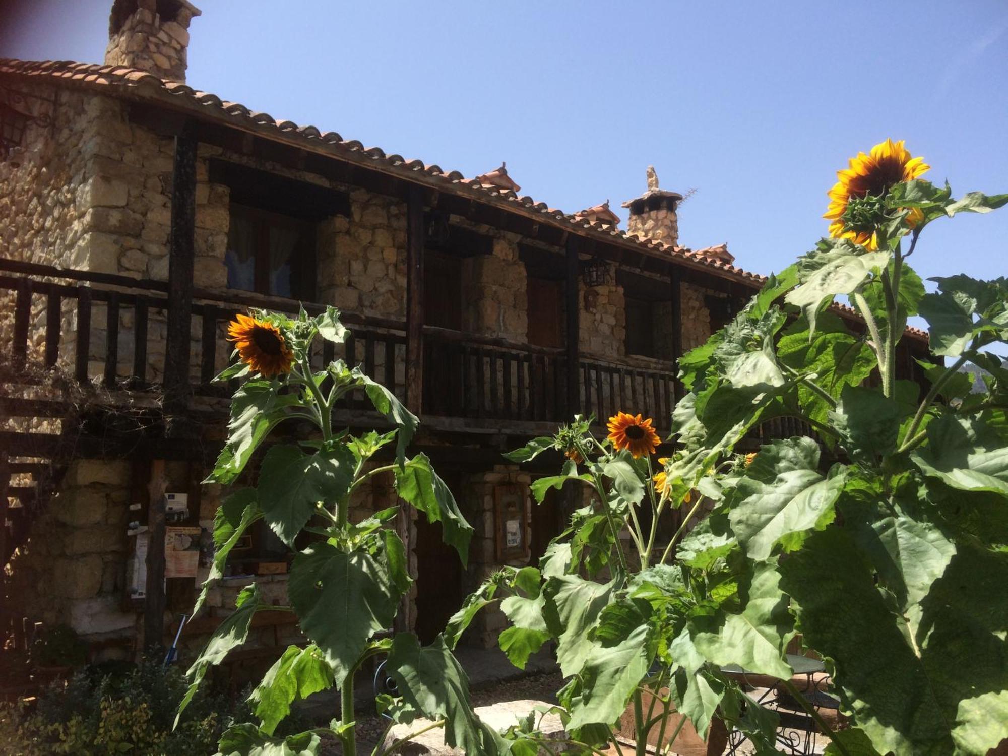 Casas Rurales Chon Alto Tajo Peralejos de las Truchas Buitenkant foto